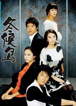 韩剧冬鸟在线观看,冬日里的温暖邂逅  第1张